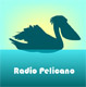 Radio Pelicano Segelyacht INTI